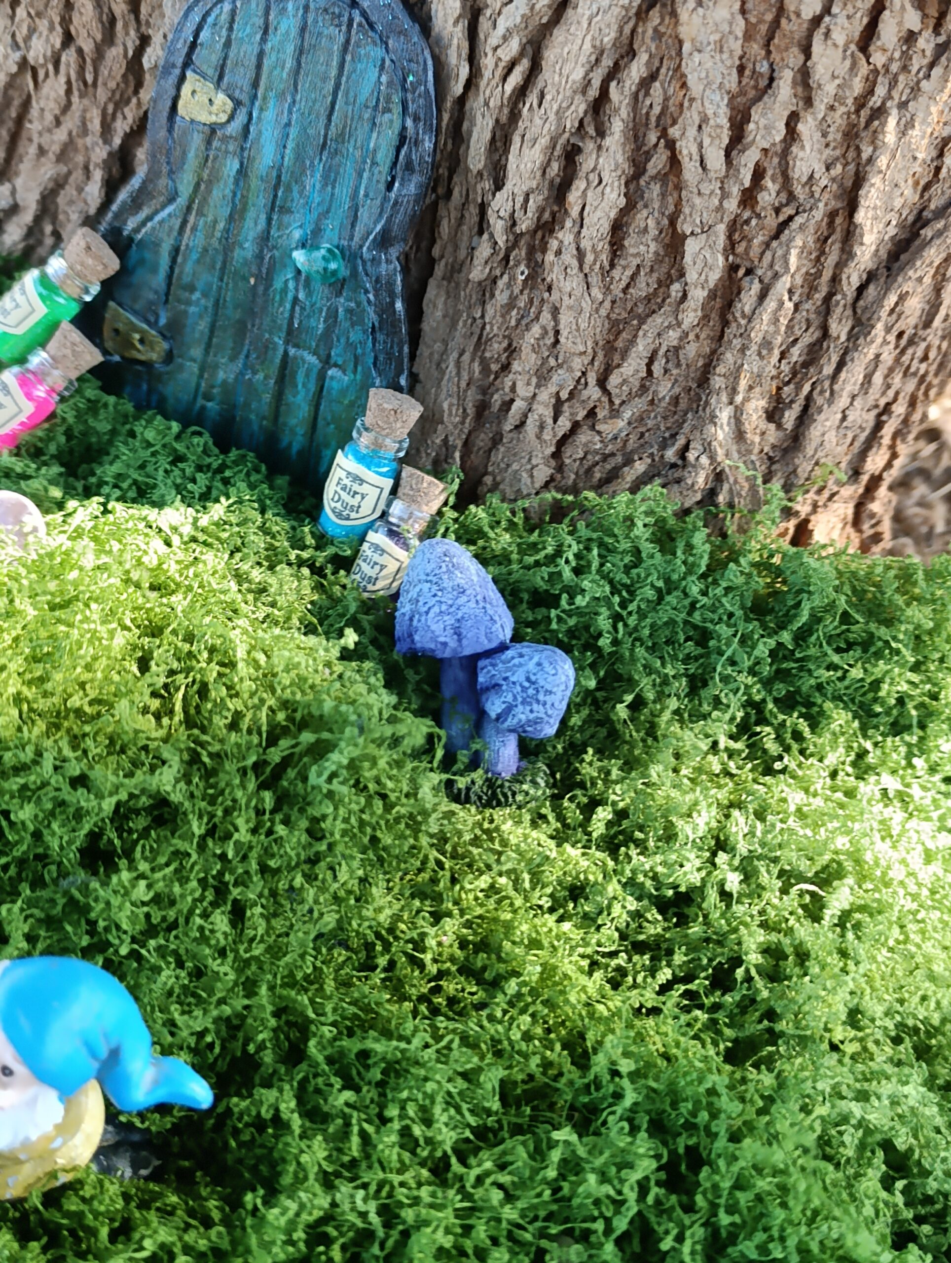 Porte féerique de mousse sorcière – Image 4