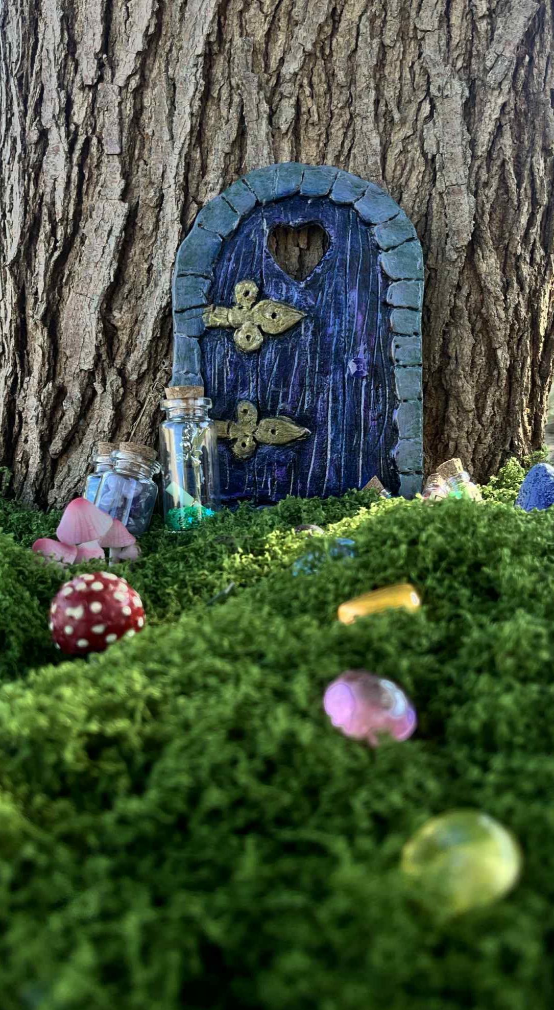 IMG_20250906_193456 Porte féerique des lueurs royal – Image 11