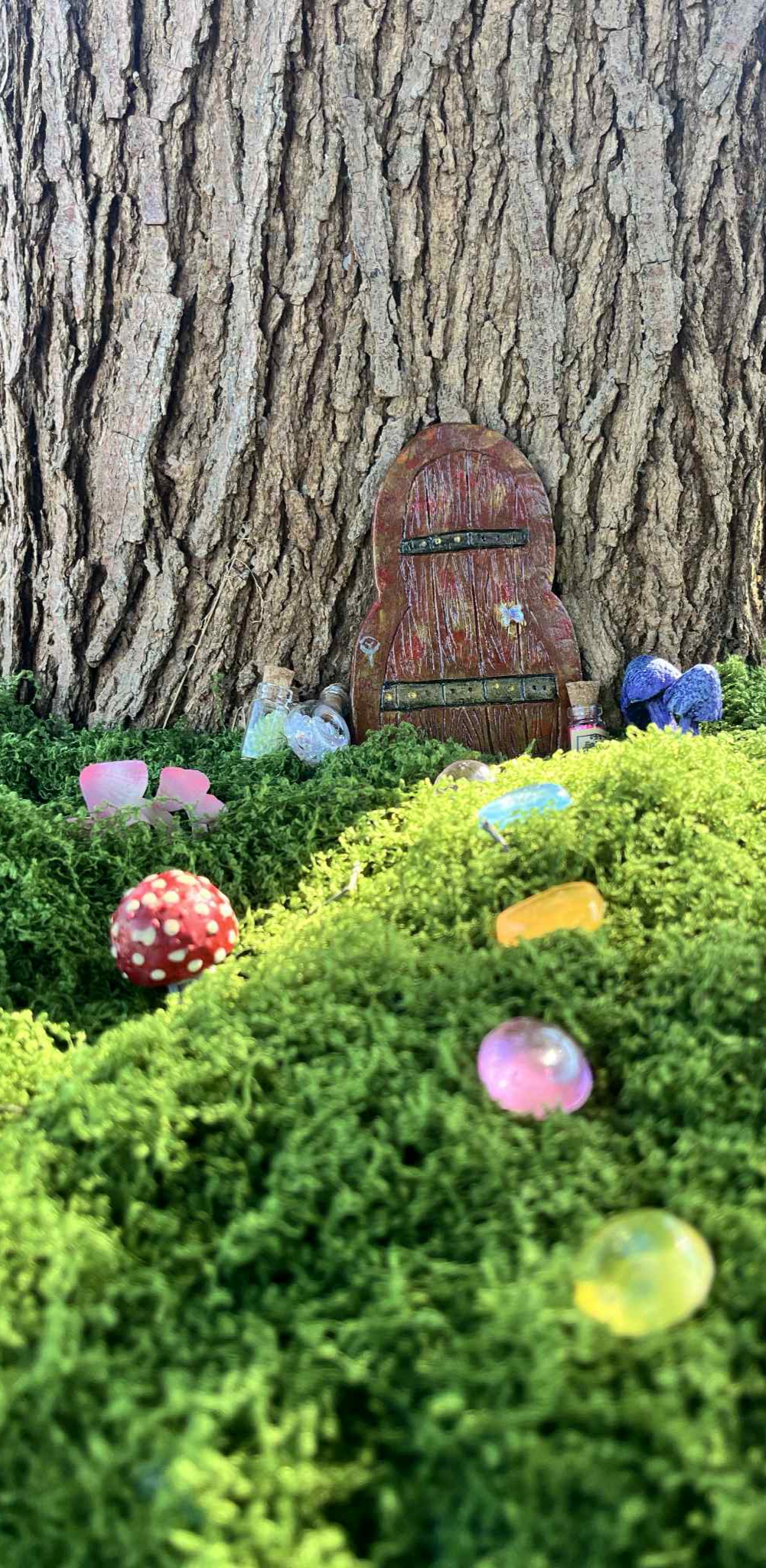 Porte Féérique — Bois Enchanté – Image 9