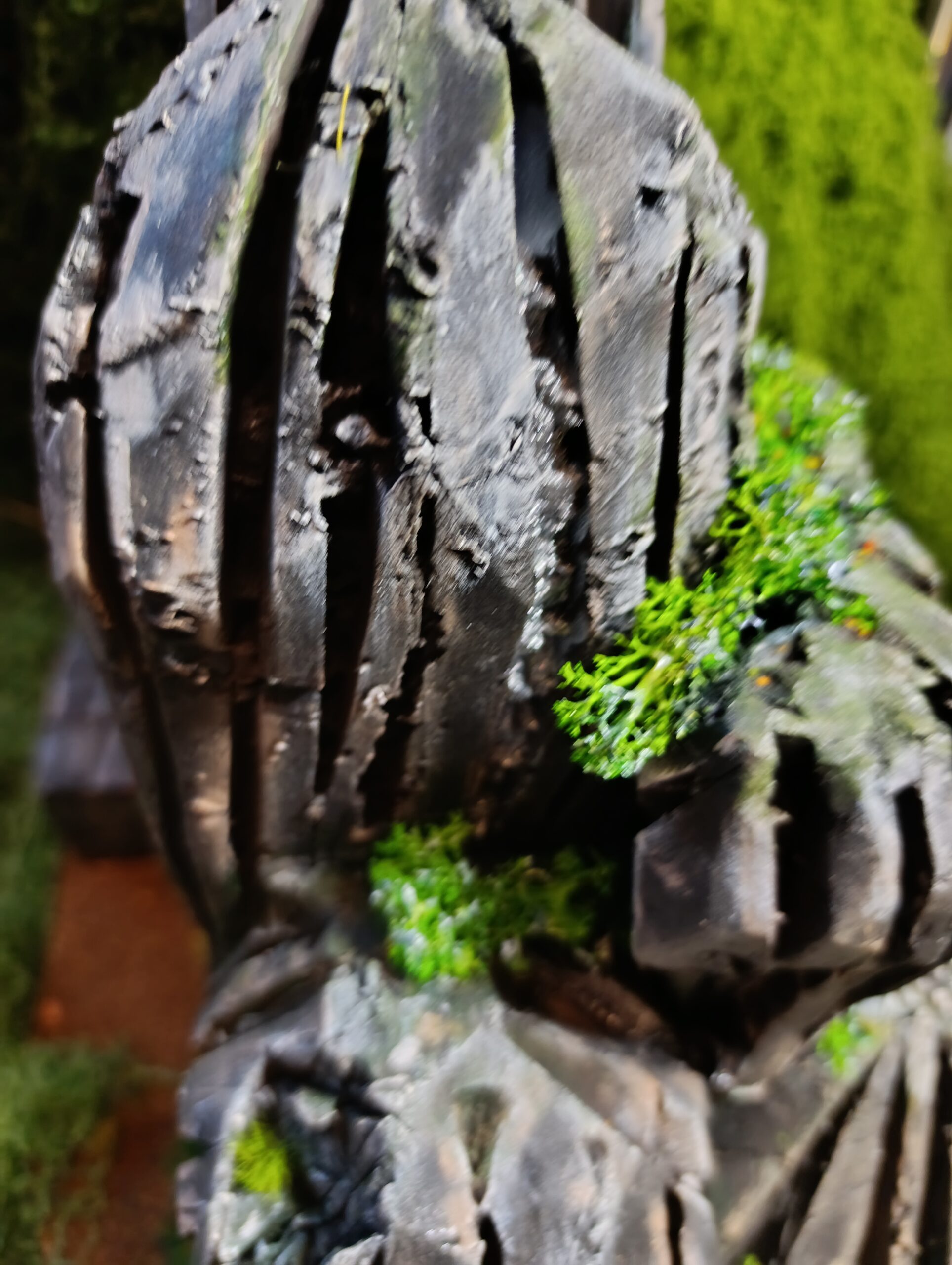 🔨🏔 Maison-Roche de Guyldrinn, la Forge du Village du Lys Enchanté – Image 18