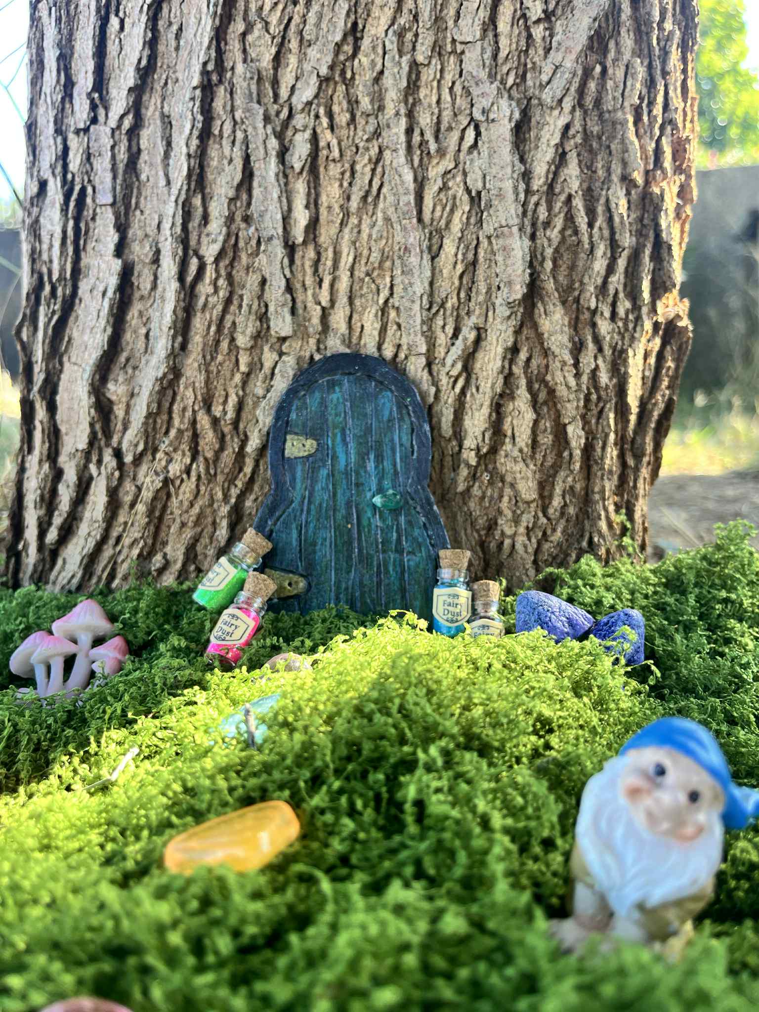 Porte féerique de mousse sorcière – Image 7