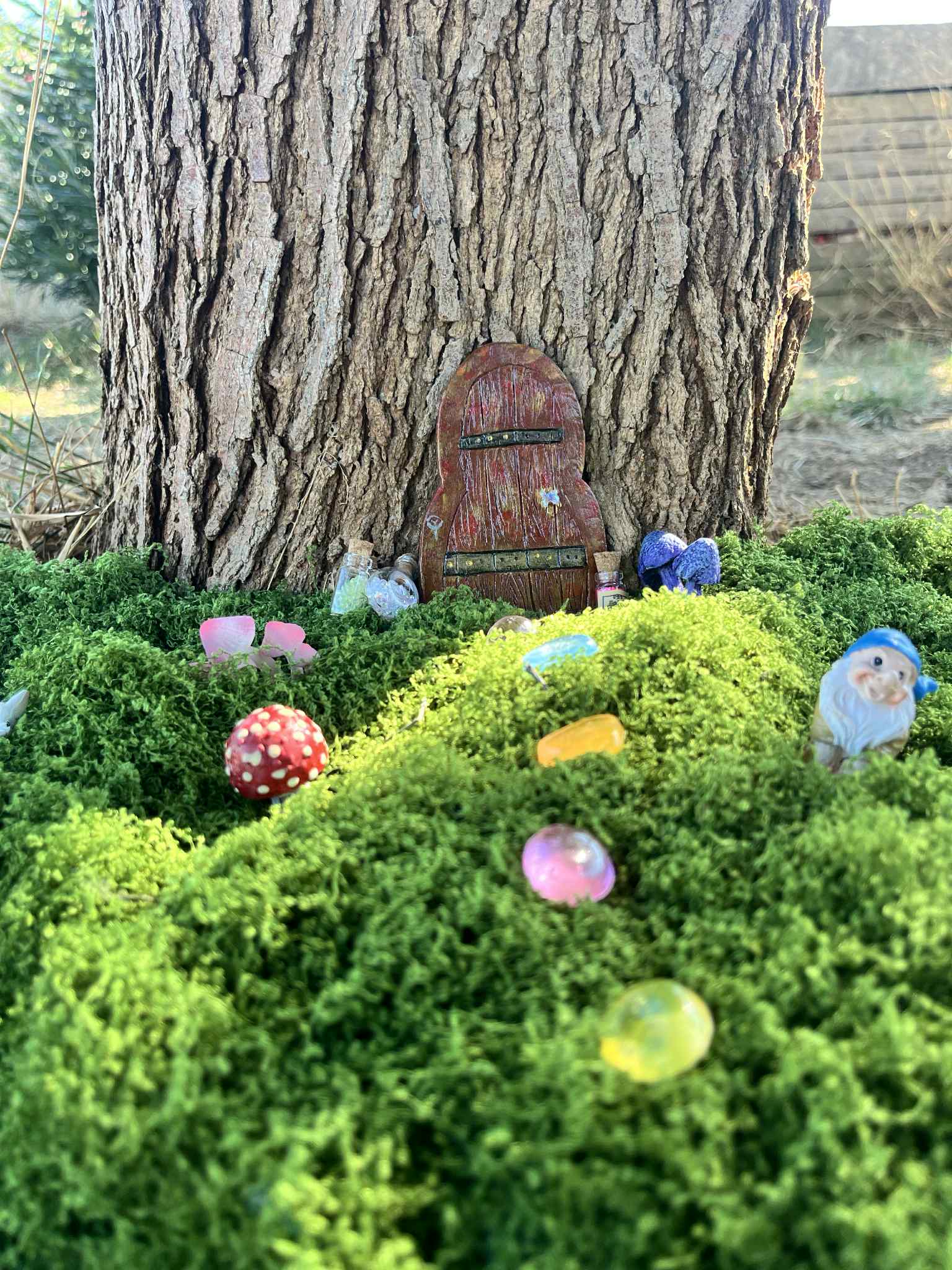 Porte Féérique — Bois Enchanté – Image 7