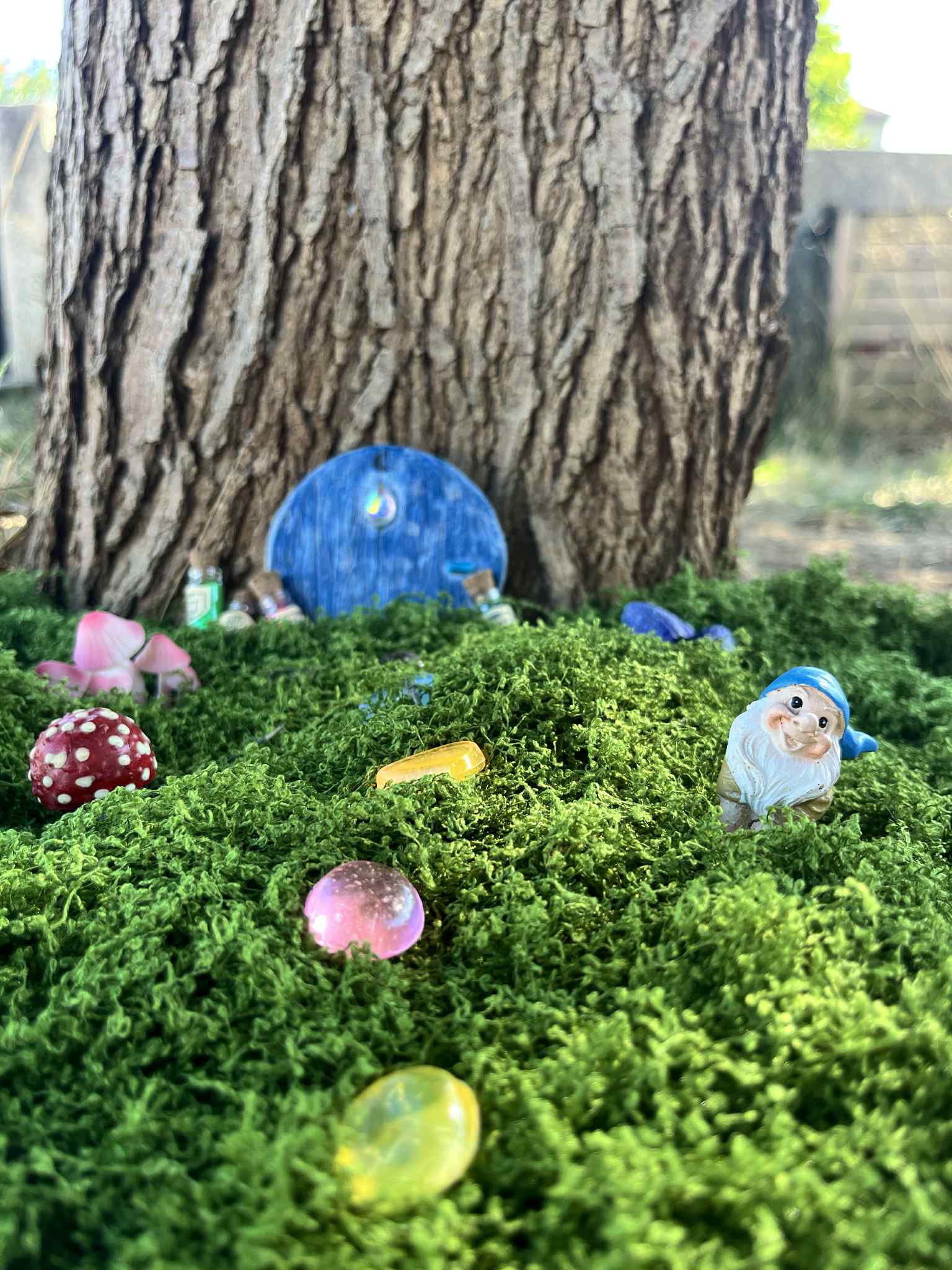 Porte des chemins d'étoiles – Image 9