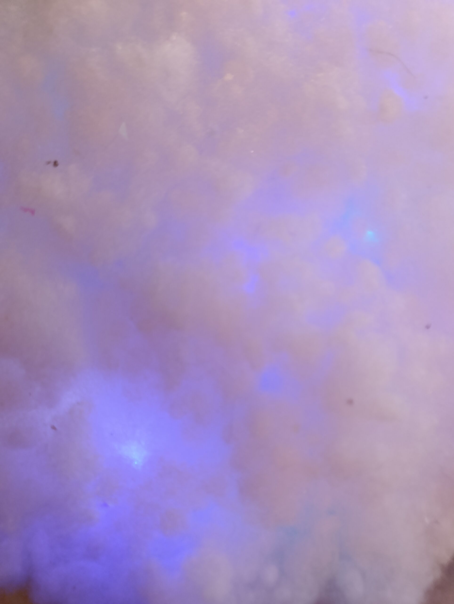 IMG_20251209_093504 🎄 Décoration de Noël – Scène féerique hivernale sous nuage de neige – Image 5