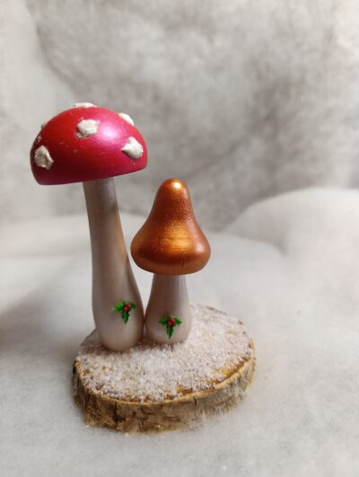 Duo de champignons