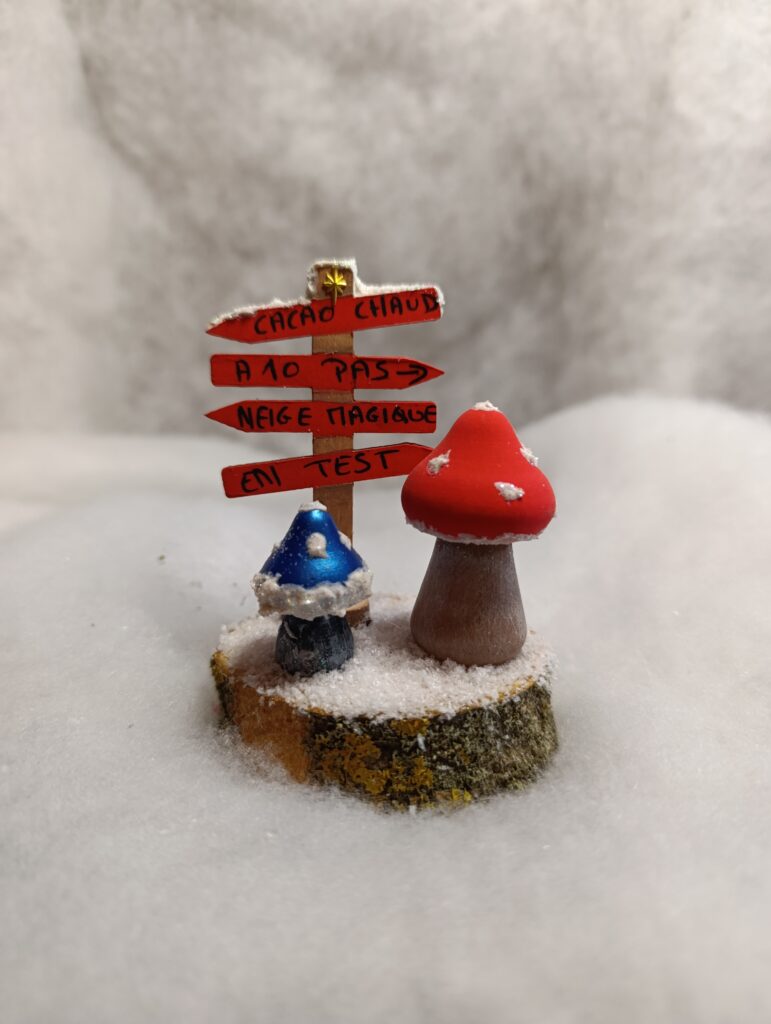 IMG 20251209 114013 771x1024