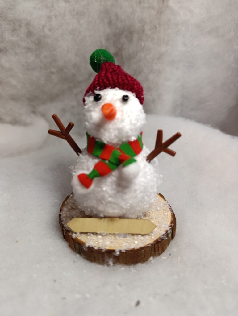 IMG 20251209 115108 771x1024