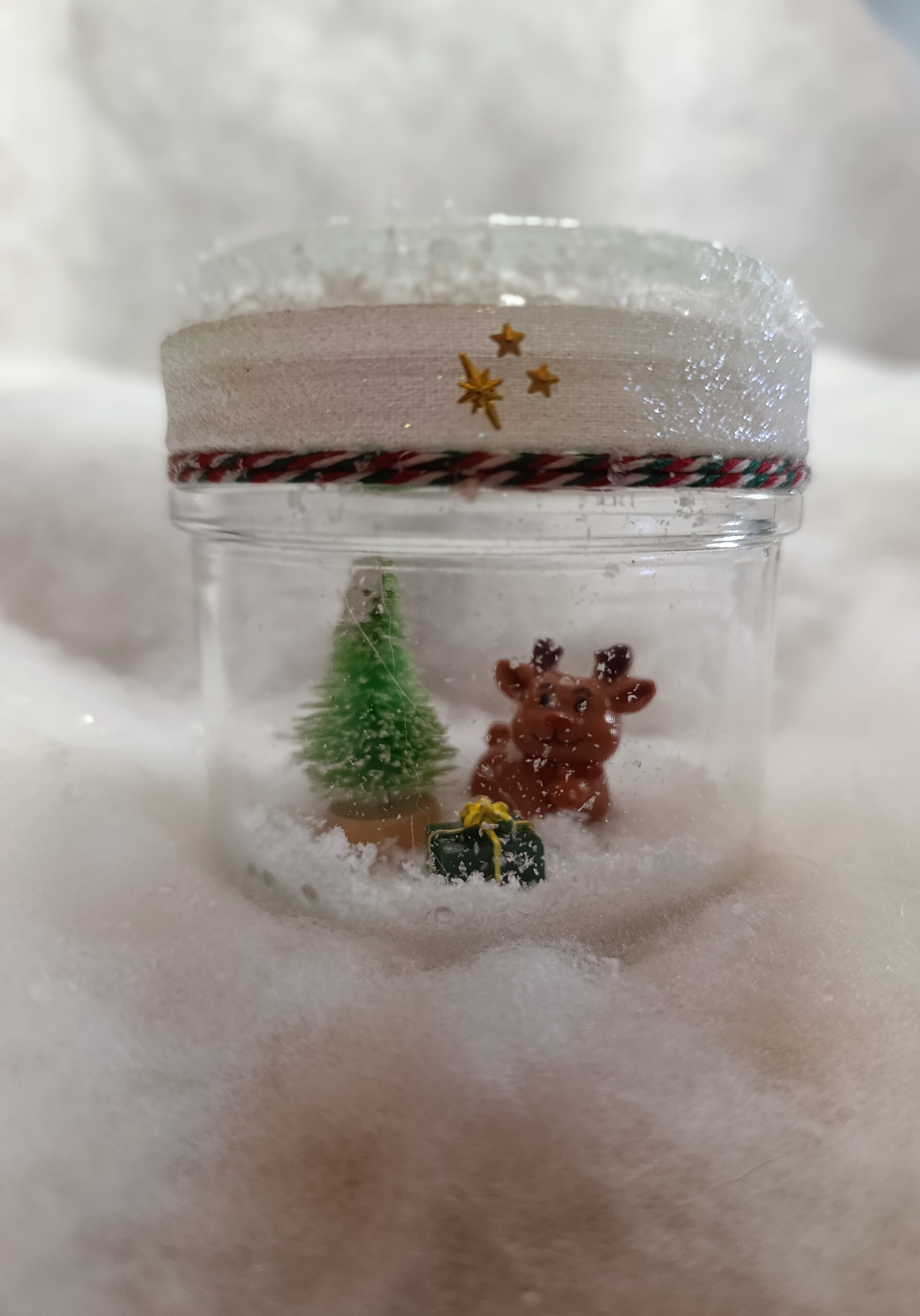 IMG_20251209_152020 Scène de Noël sous verre Le Renne et le Sapin