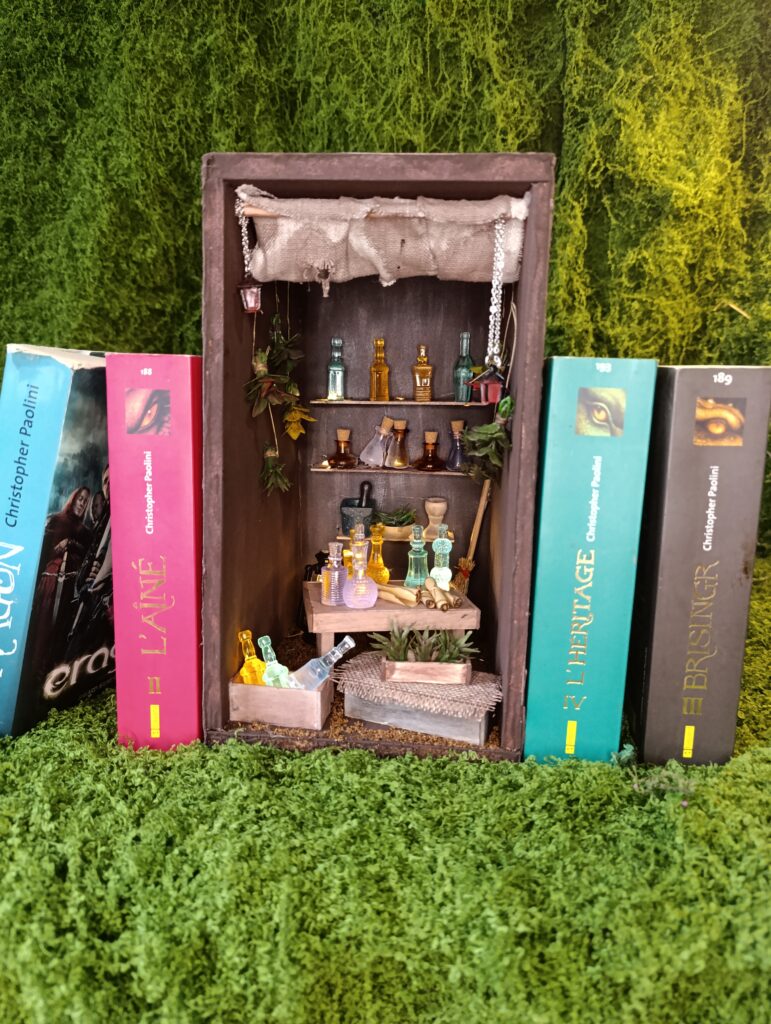 Pourquoi les Book Nooks fascinent les amoureux des livres l’Échoppe des distillats – booknook féerique pour bibliothèque