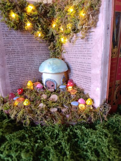✨🍄🟫la clairière secrète des champignons – book nook lumineux du village du lys enchanté