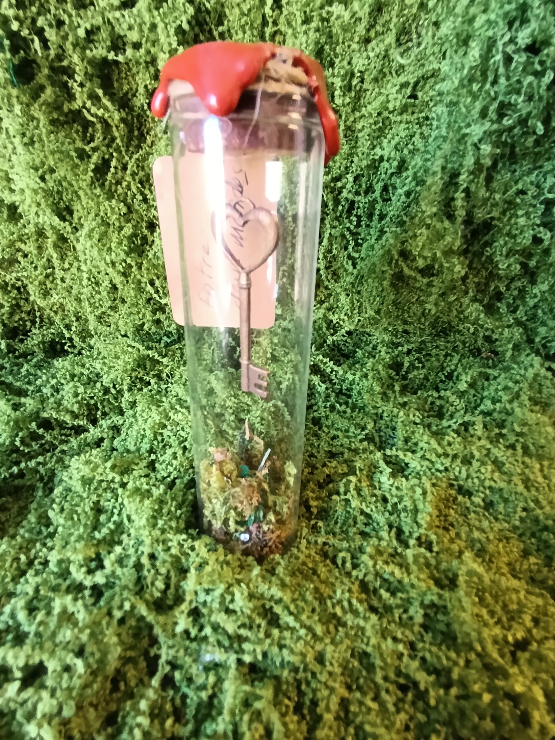 clé scellée des mondes cachés – relique du village du lys enchanté clé scellée des mondes cachés – relique du village du lys enchanté