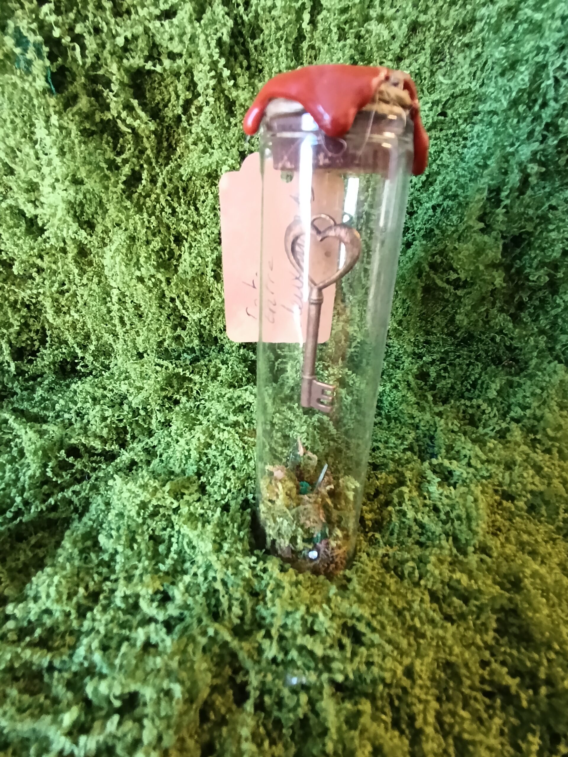 clé scellée des mondes cachés – relique du village du lys enchanté clé scellée des mondes cachés – relique du village du lys enchanté