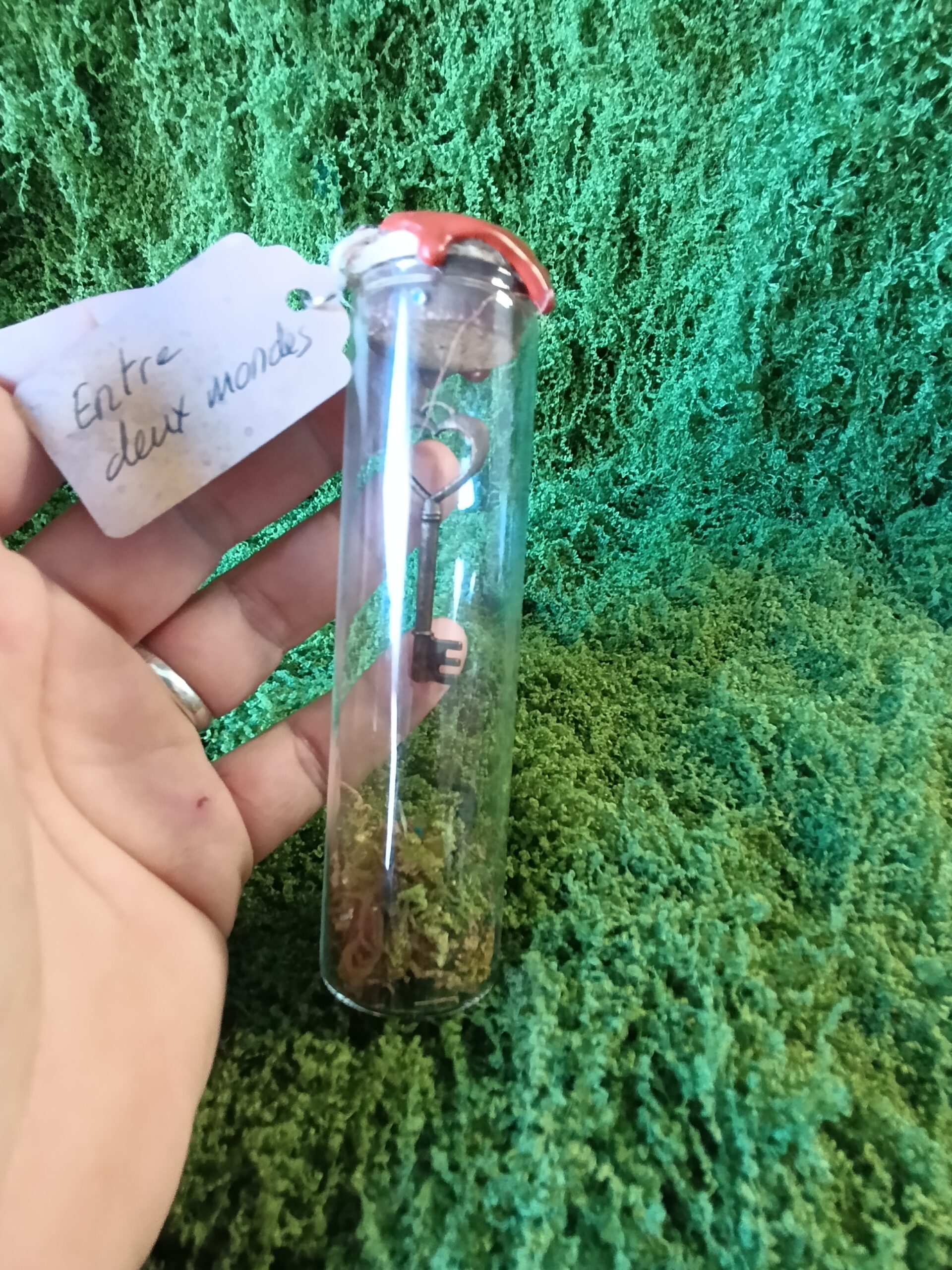 clé scellée des mondes cachés – relique du village du lys enchanté clé scellée des mondes cachés – relique du village du lys enchanté