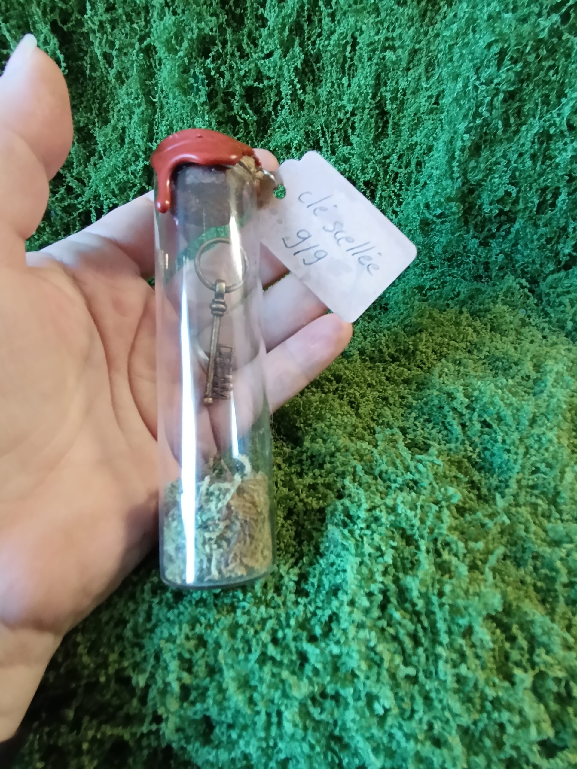 clé scellée des mondes cachés – relique du village du lys enchanté clé scellée des mondes cachés – relique du village du lys enchanté