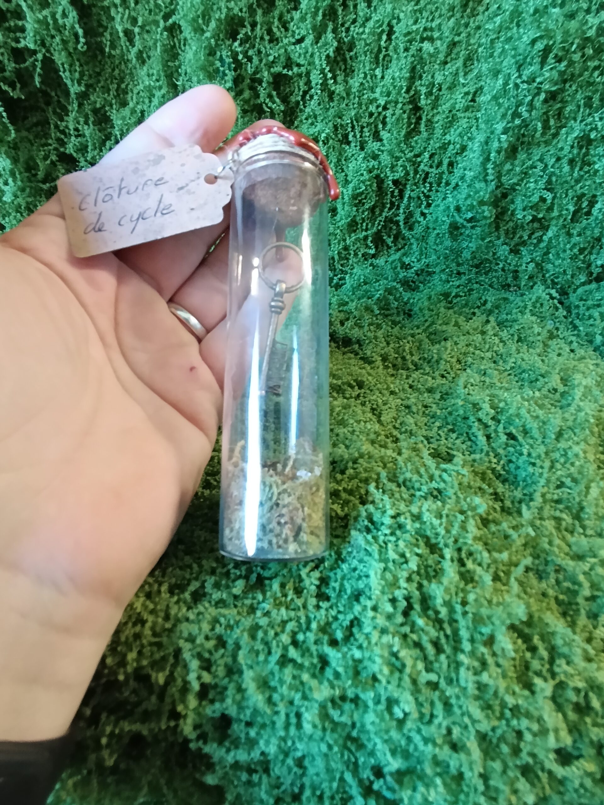 clé scellée des mondes cachés – relique du village du lys enchanté clé scellée des mondes cachés – relique du village du lys enchanté