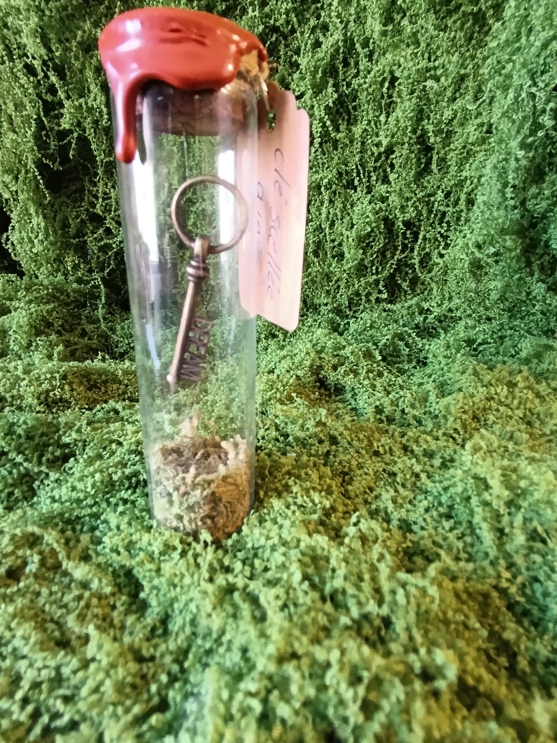 clé scellée des mondes cachés – relique du village du lys enchanté clé scellée des mondes cachés – relique du village du lys enchanté