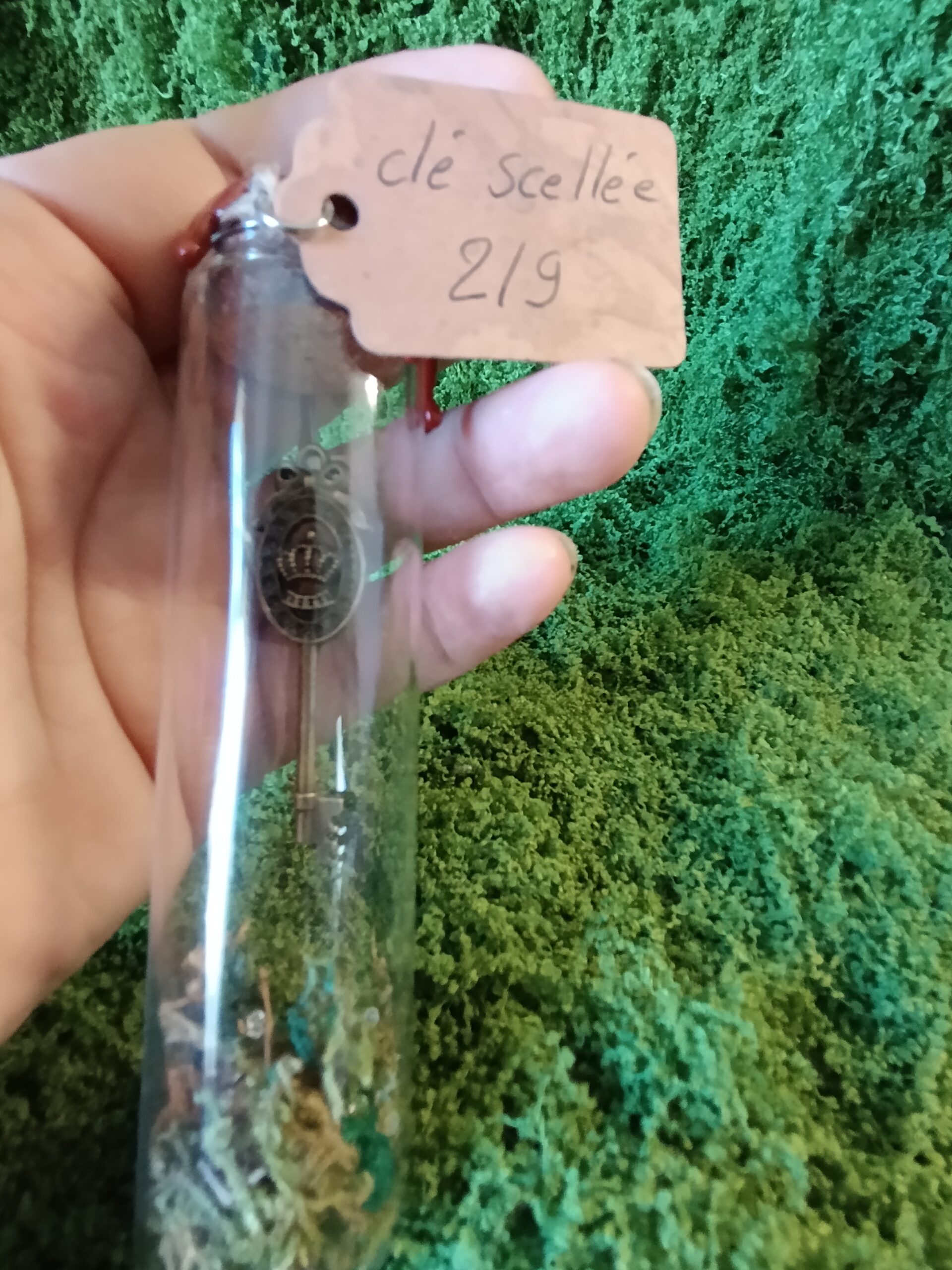 clé scellée des mondes cachés – relique du village du lys enchanté clé scellée des mondes cachés – relique du village du lys enchanté