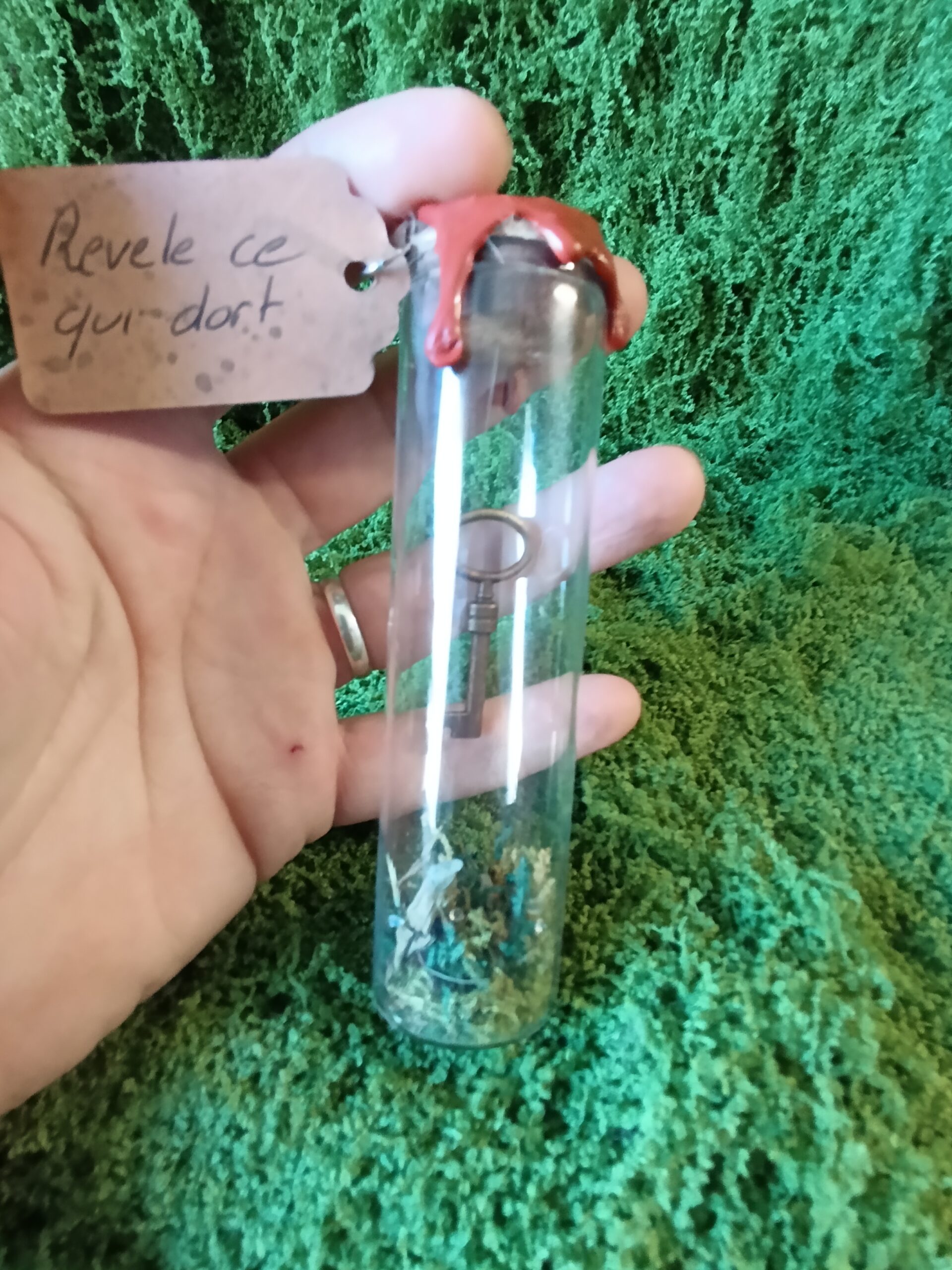 clé scellée des mondes cachés – relique du village du lys enchanté clé scellée des mondes cachés – relique du village du lys enchanté