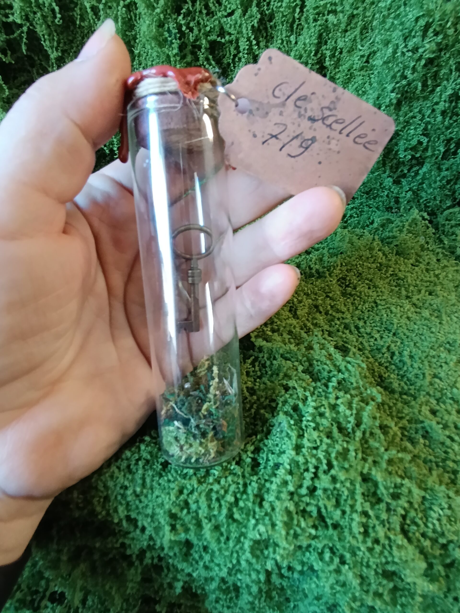 clé scellée des mondes cachés – relique du village du lys enchanté clé scellée des mondes cachés – relique du village du lys enchanté