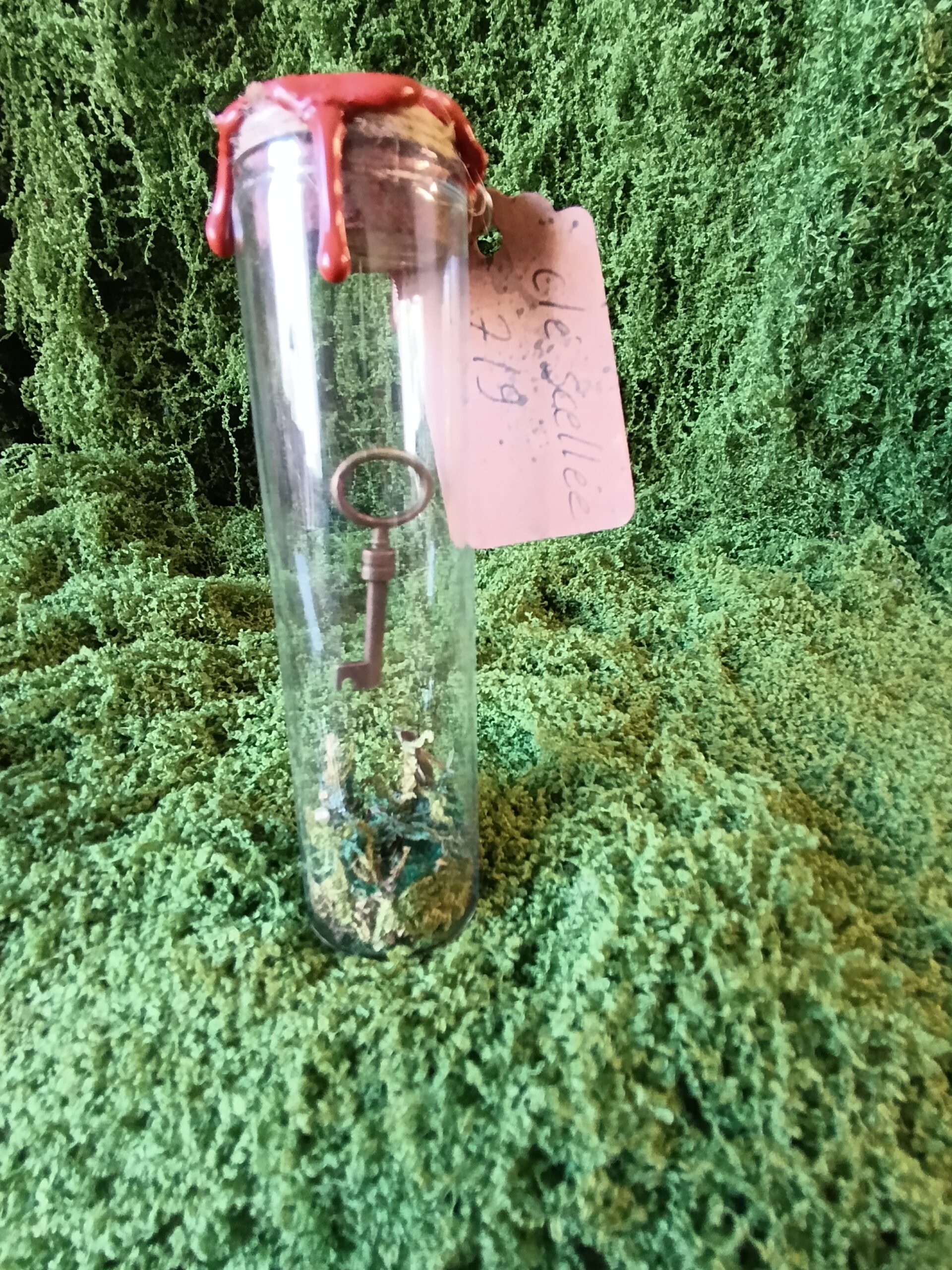 clé scellée des mondes cachés – relique du village du lys enchanté clé scellée des mondes cachés – relique du village du lys enchanté