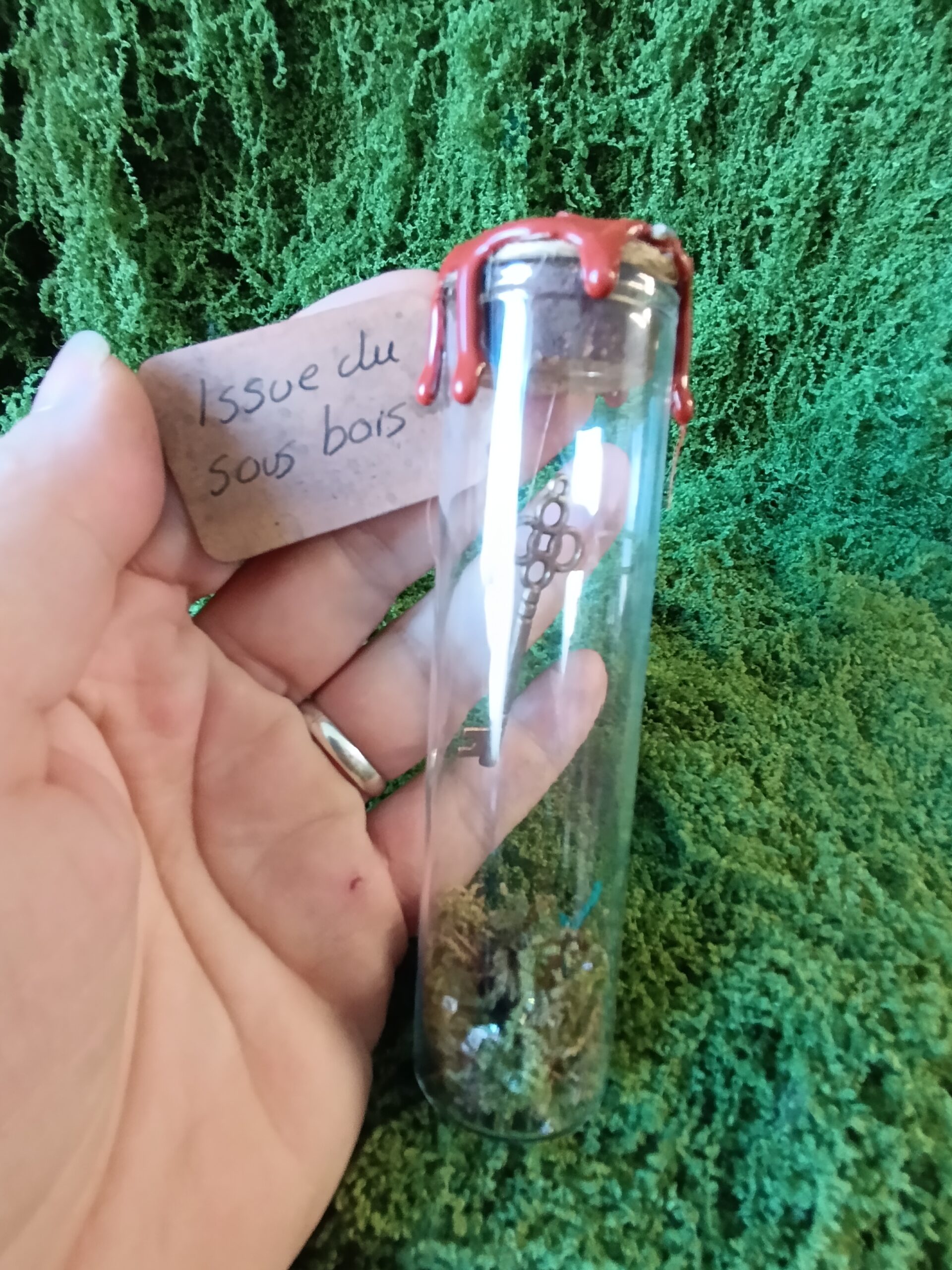 clé scellée des mondes cachés – relique du village du lys enchanté clé scellée des mondes cachés – relique du village du lys enchanté