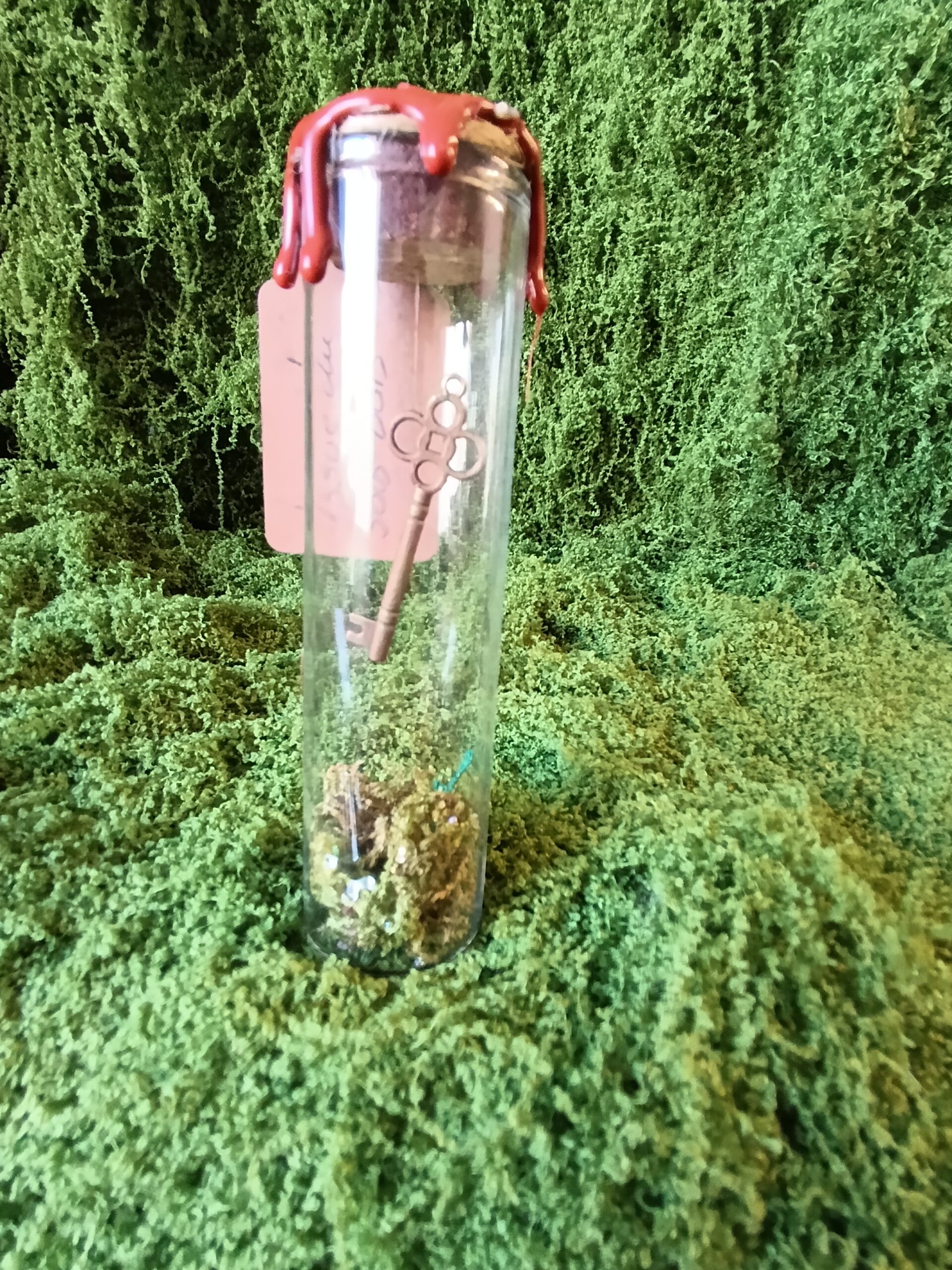 clé scellée des mondes cachés – relique du village du lys enchanté clé scellée des mondes cachés – relique du village du lys enchanté