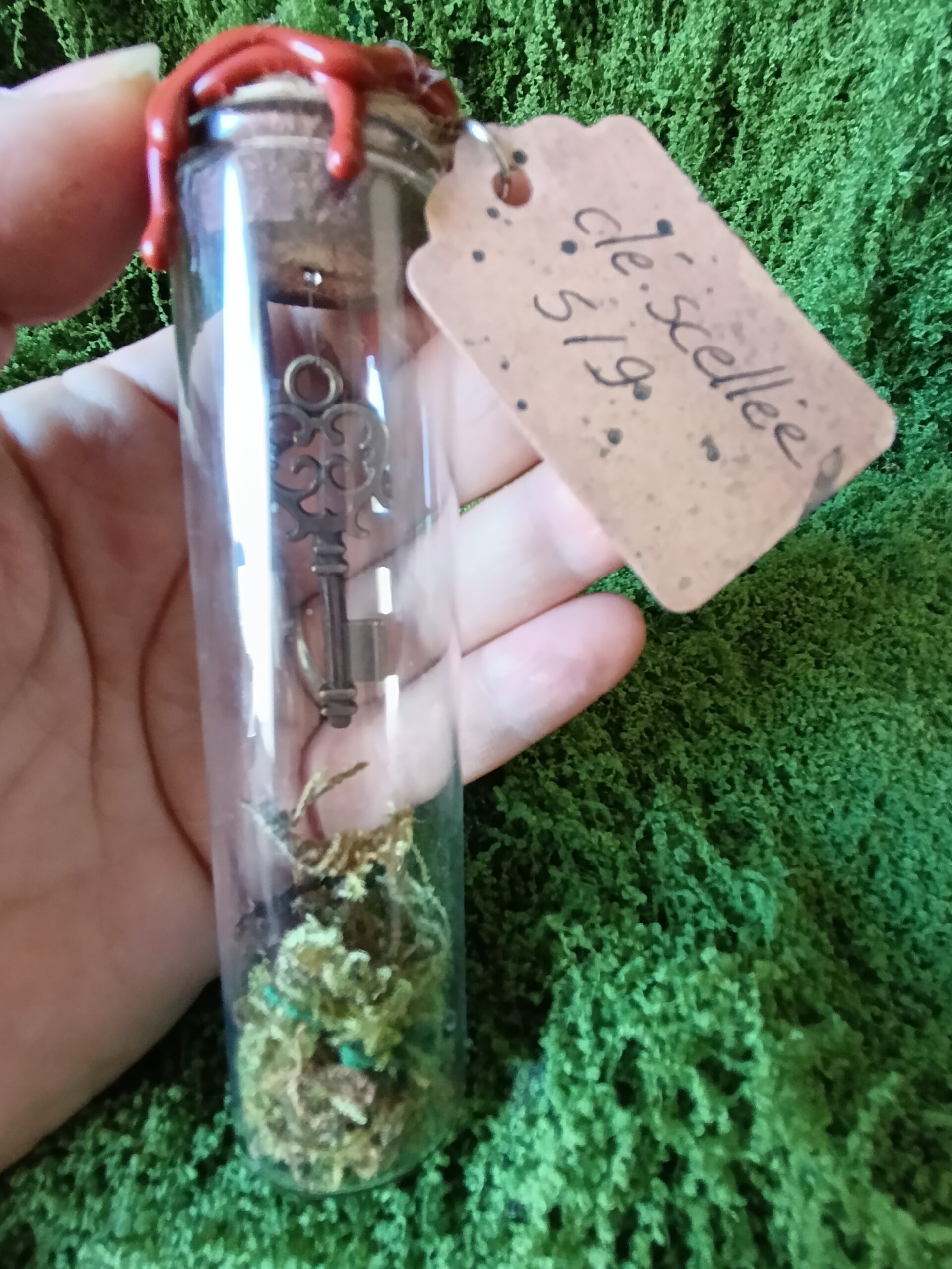 clé scellée des mondes cachés – relique du village du lys enchanté clé scellée des mondes cachés – relique du village du lys enchanté