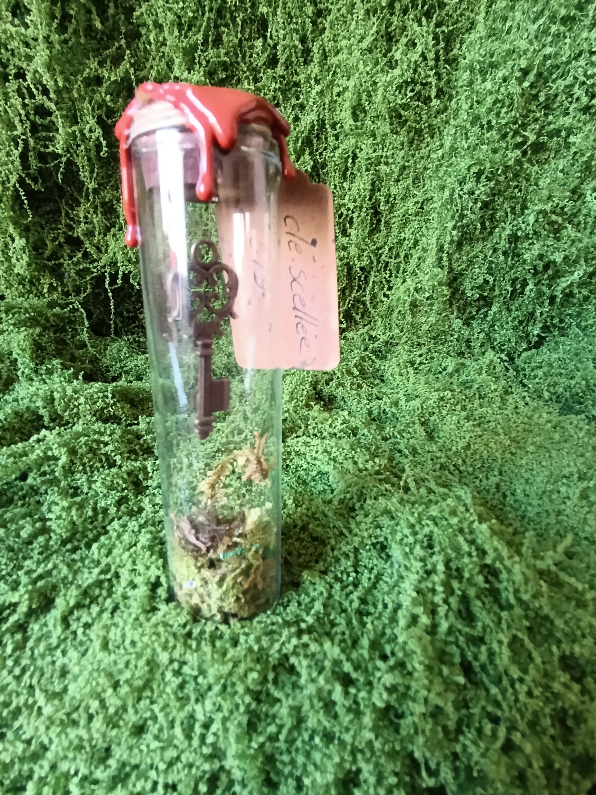 clé scellée des mondes cachés – relique du village du lys enchanté clé scellée des mondes cachés – relique du village du lys enchanté