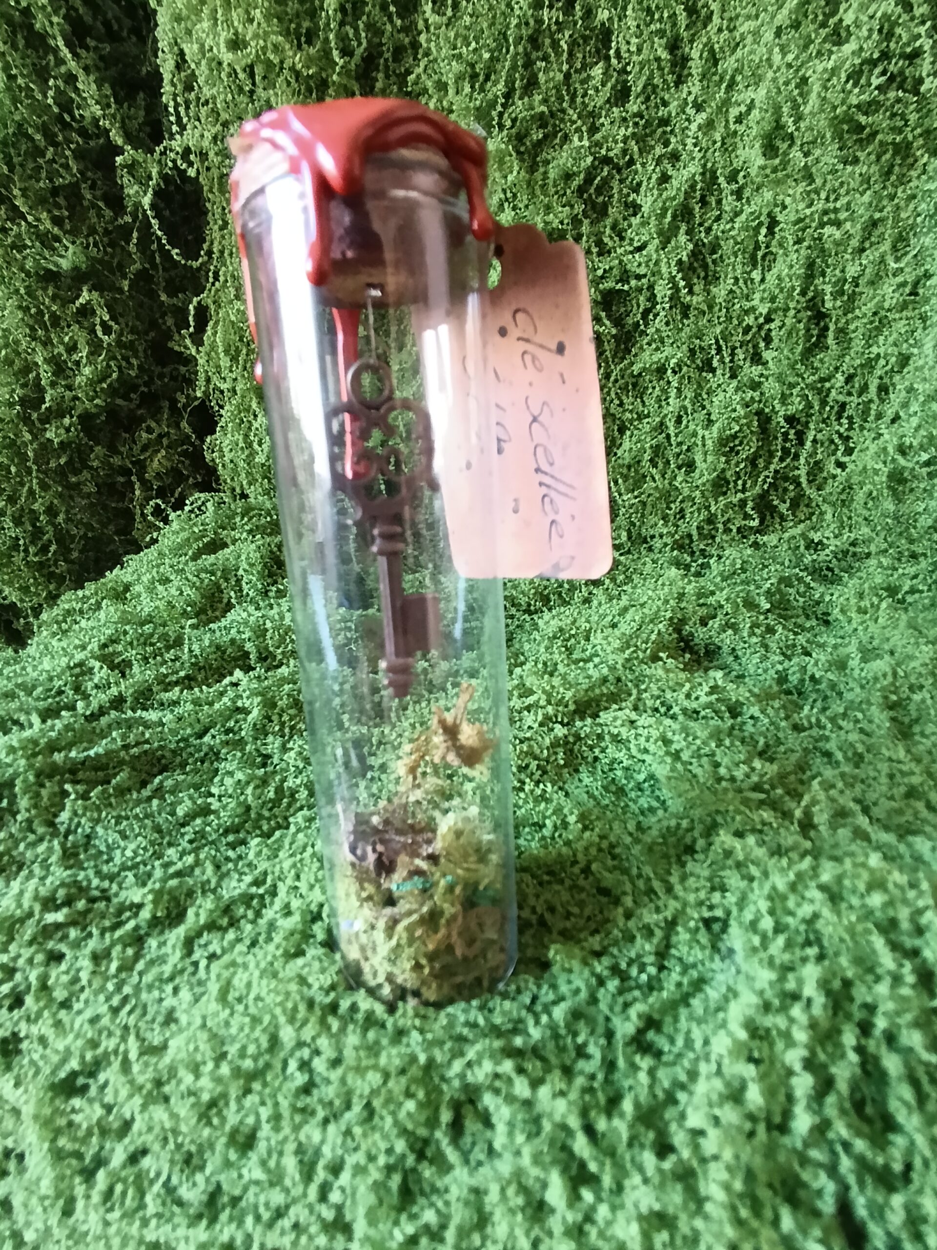 clé scellée des mondes cachés – relique du village du lys enchanté clé scellée des mondes cachés – relique du village du lys enchanté