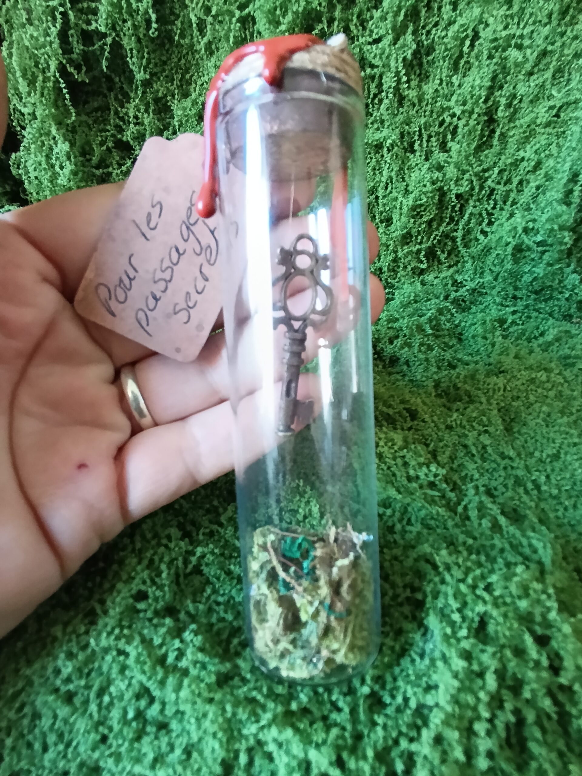 clé scellée des mondes cachés – relique du village du lys enchanté clé scellée des mondes cachés – relique du village du lys enchanté