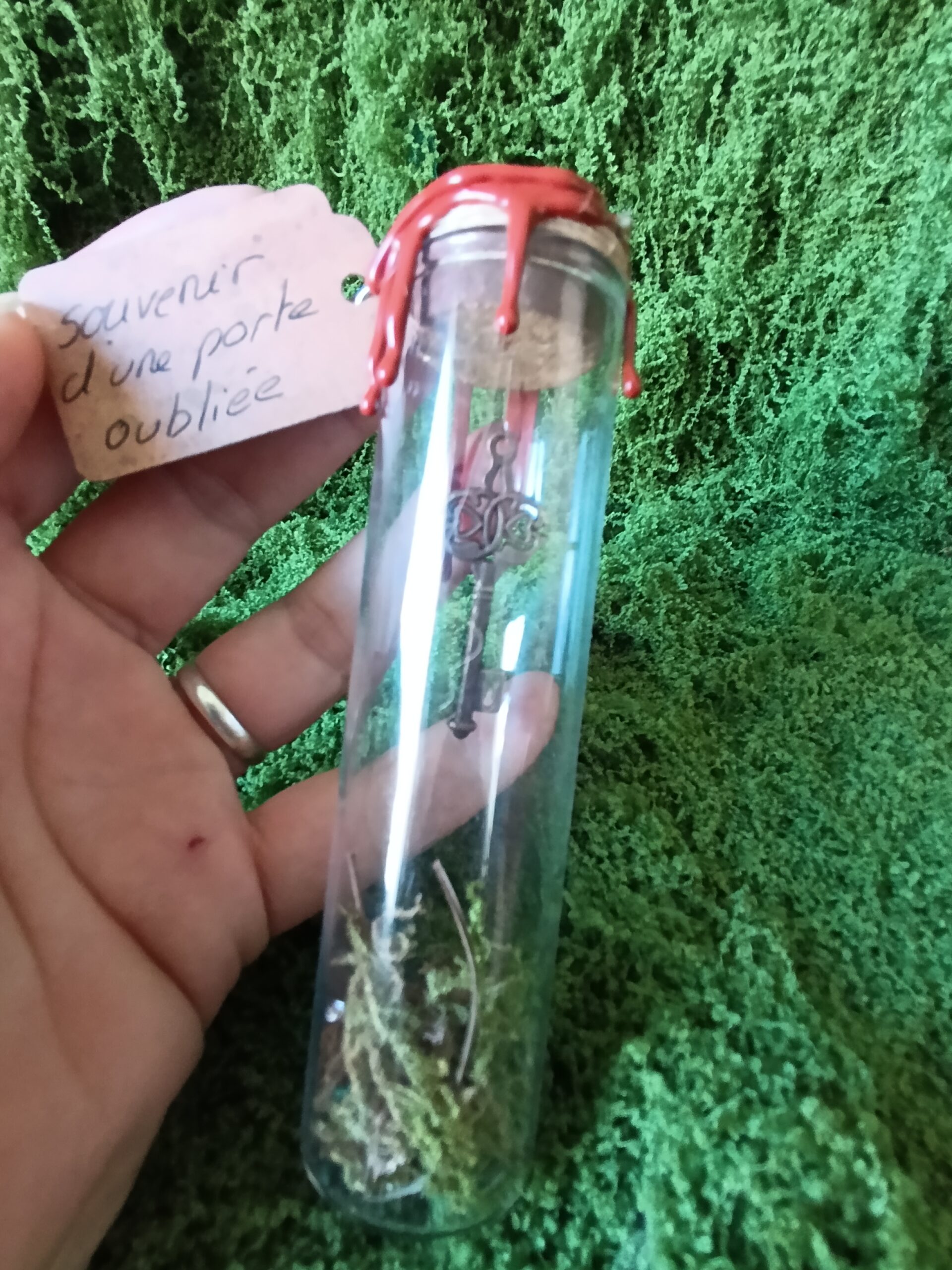 clé scellée des mondes cachés – relique du village du lys enchanté clé scellée des mondes cachés – relique du village du lys enchanté