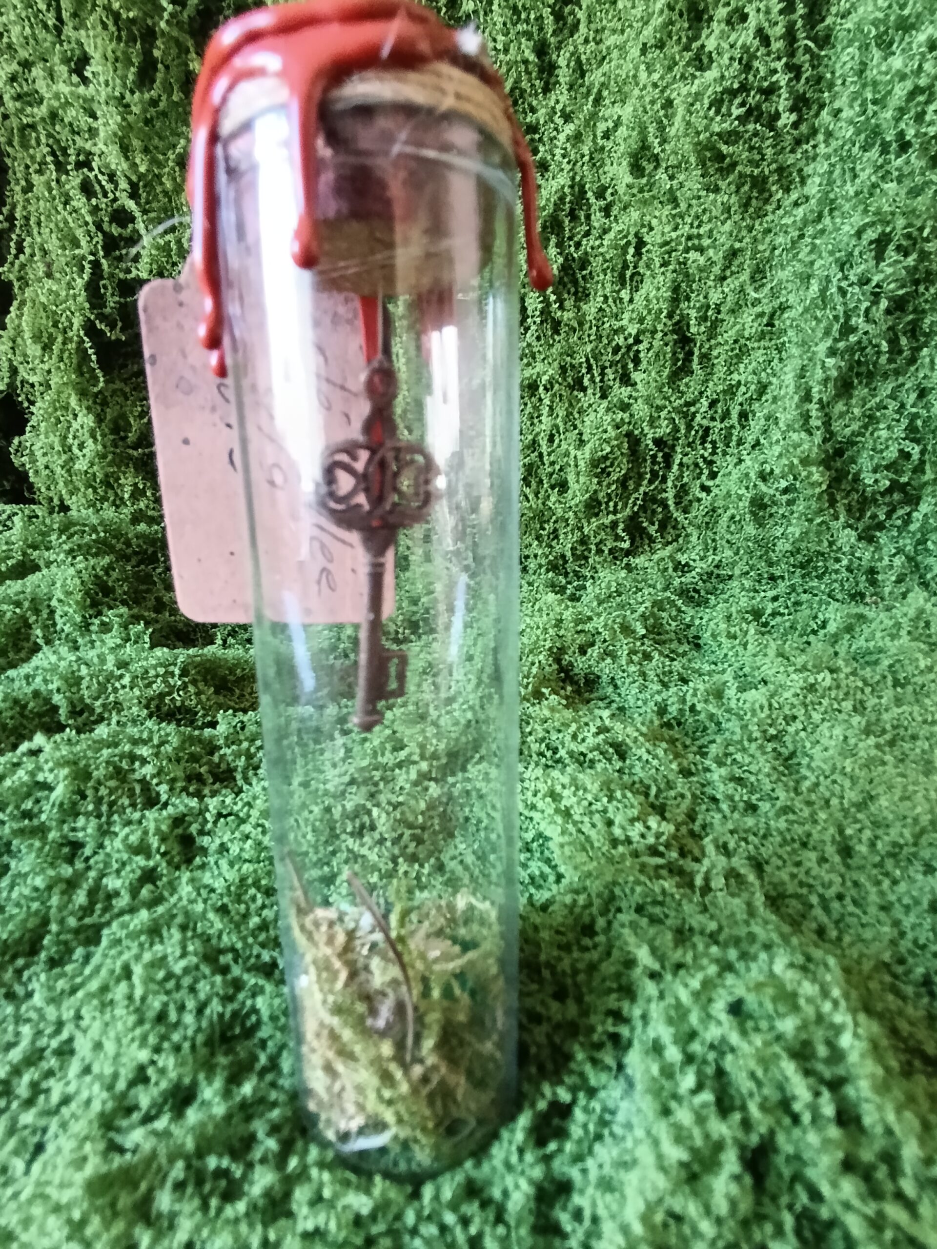 clé scellée des mondes cachés – relique du village du lys enchanté clé scellée des mondes cachés – relique du village du lys enchanté