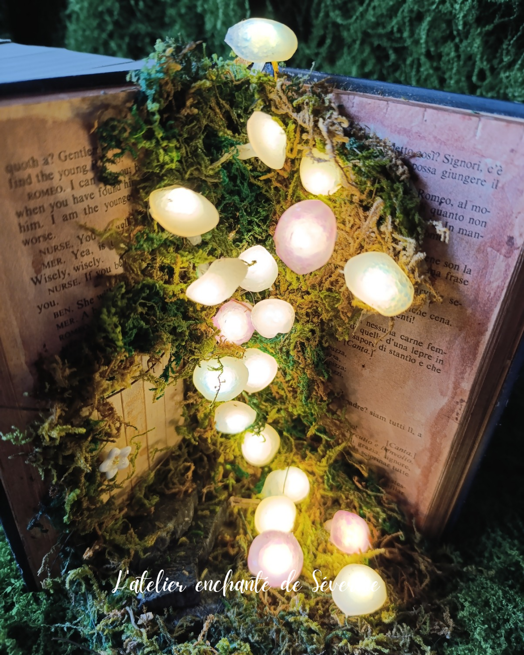 book nook – la clairière des champignons lumineux book nook – la clairière des champignons lumineux