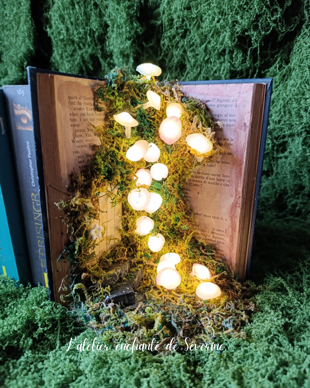 book nook – la clairière des champignons lumineux book nook – la clairière des champignons lumineux