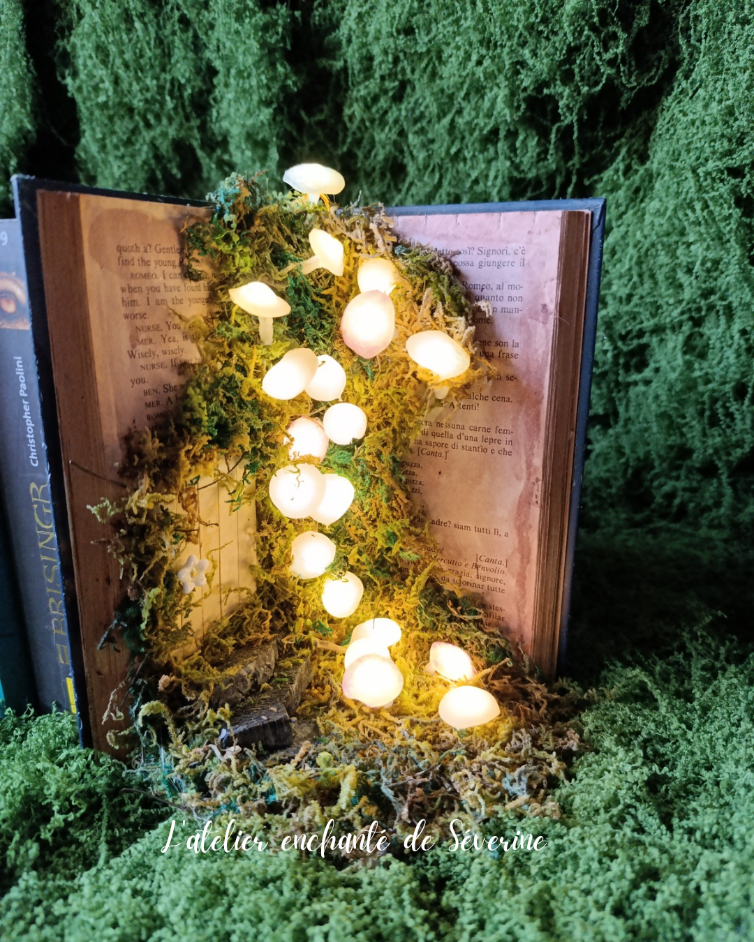 book nook – la clairière des champignons lumineux book nook – la clairière des champignons lumineux