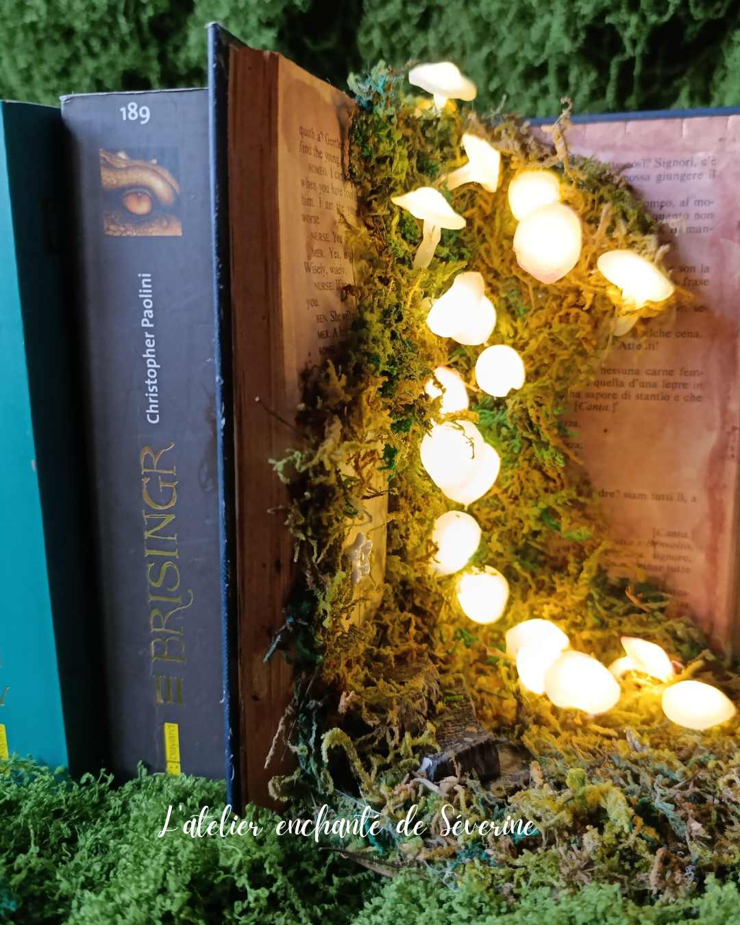 book nook – la clairière des champignons lumineux book nook – la clairière des champignons lumineux