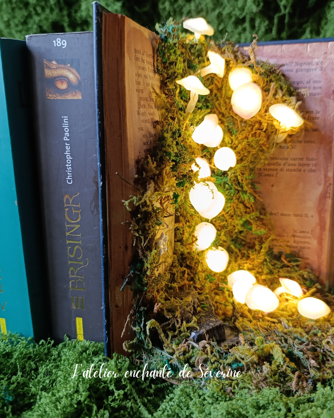 book nook – la clairière des champignons lumineux book nook – la clairière des champignons lumineux