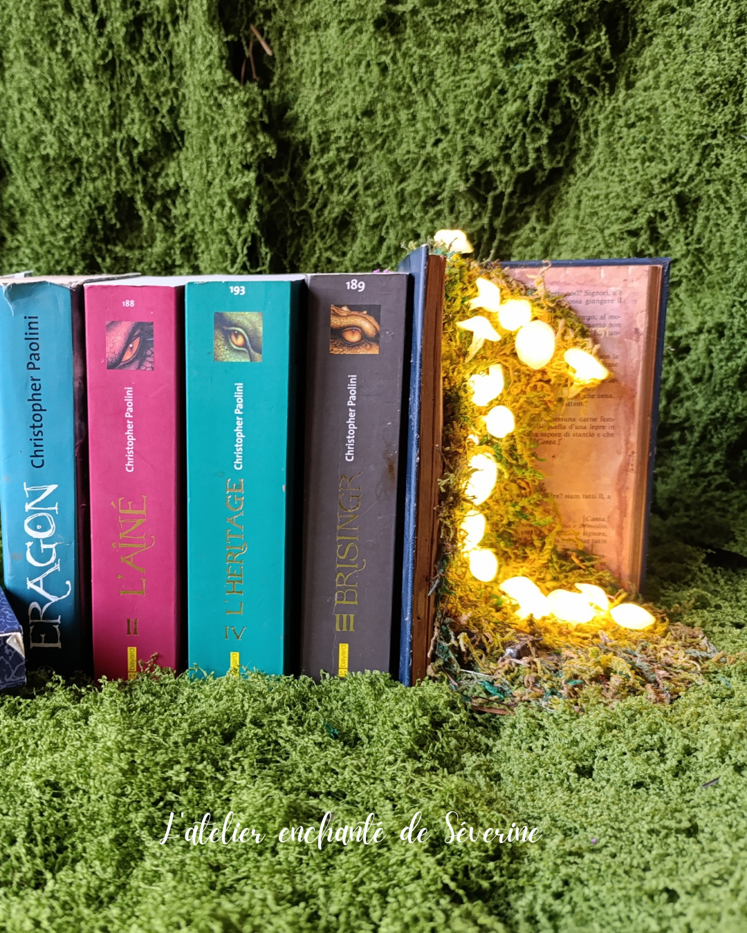 book nook – la clairière des champignons lumineux book nook – la clairière des champignons lumineux